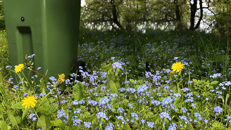 Blommor framför ett sopkärl.